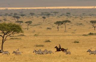 Offbeat Riding Safaris